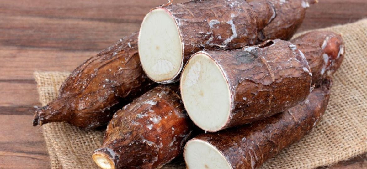 Costa Rica abarca el 92% del mercado de yuca fresca estadounidense en 2023